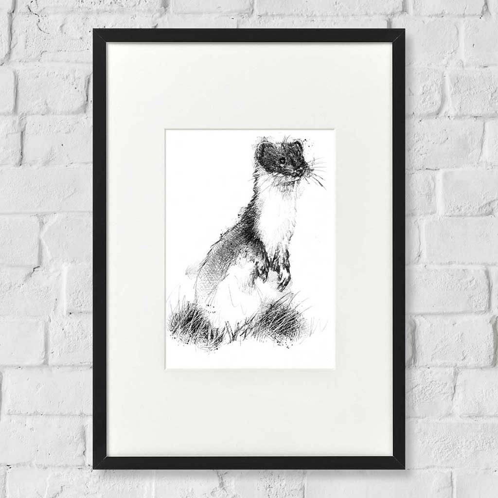 Stoat