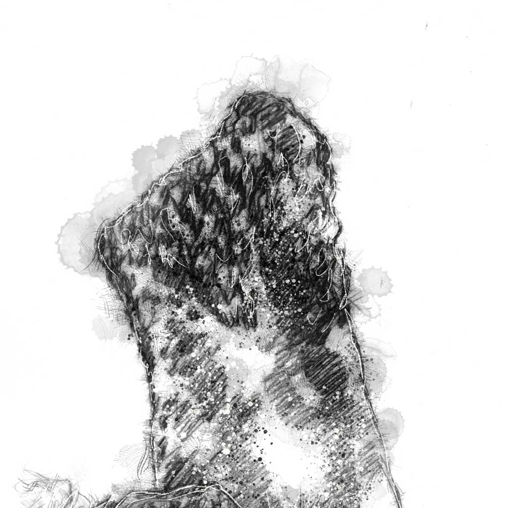 Troswick standing stone