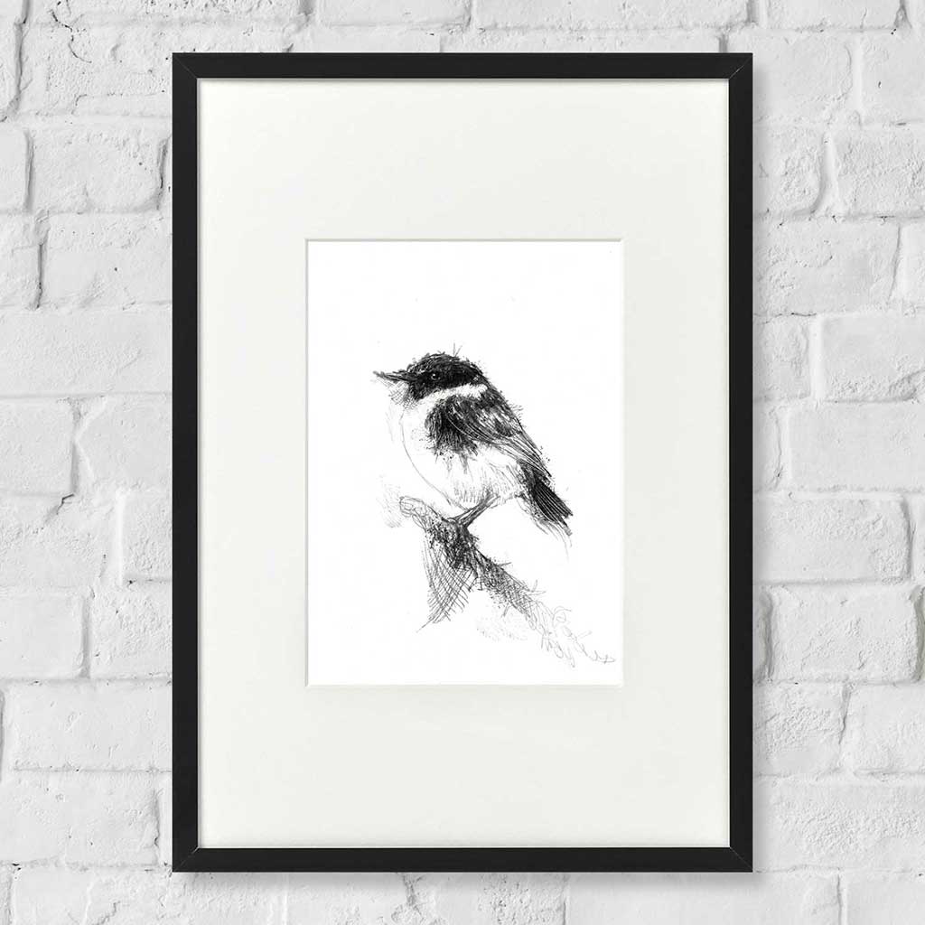 Stonechat bird