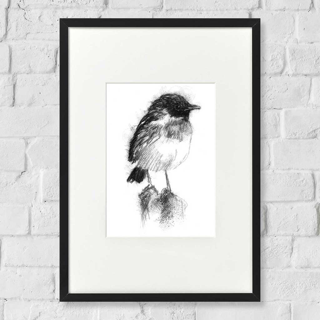 Stonechat bird