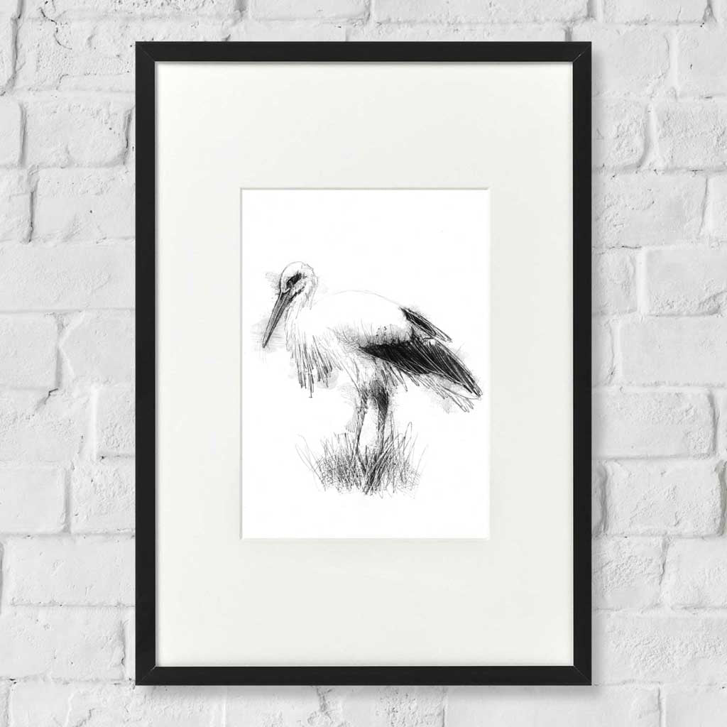Stork sketch
