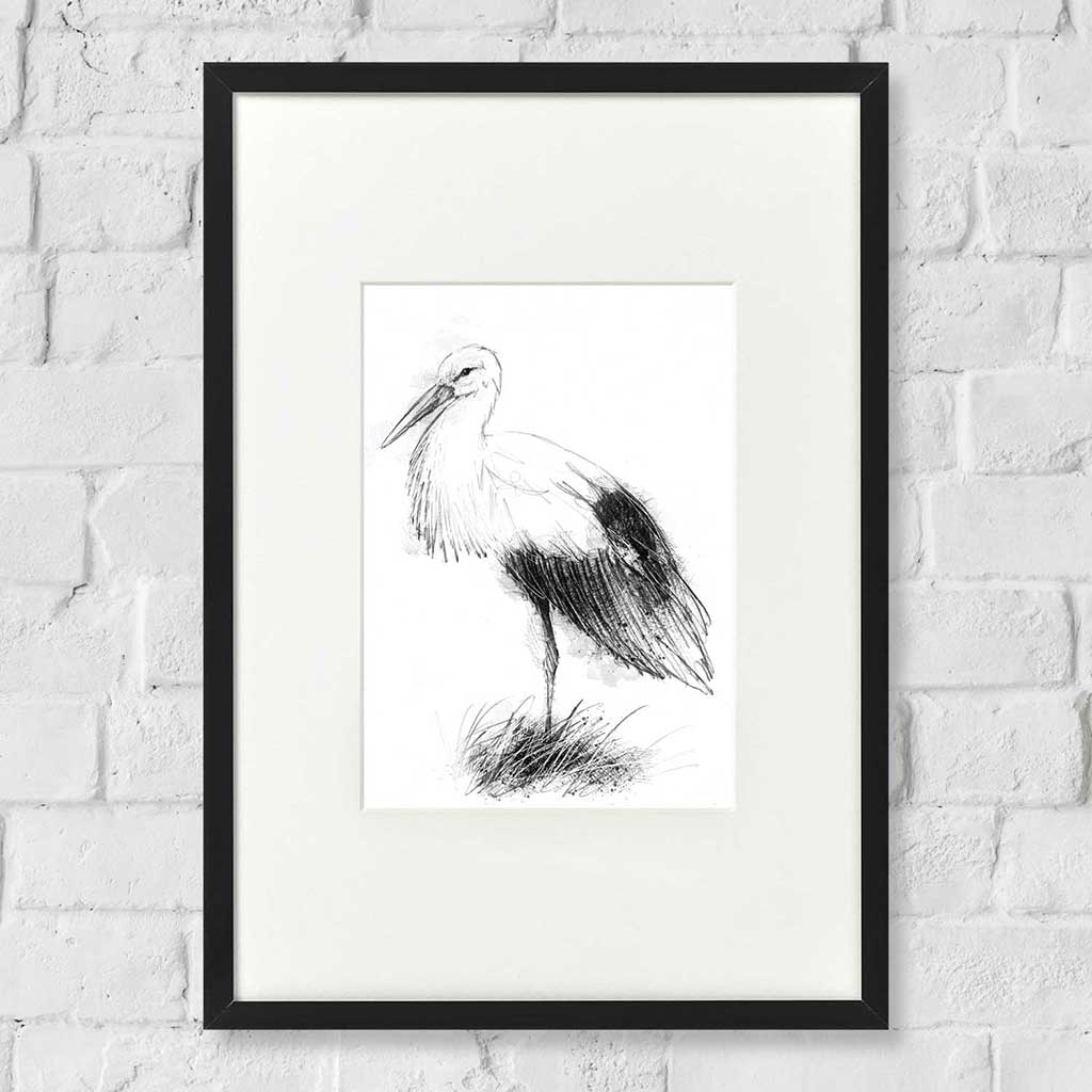Stork
