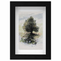 Tilberthwaite tree original sketch