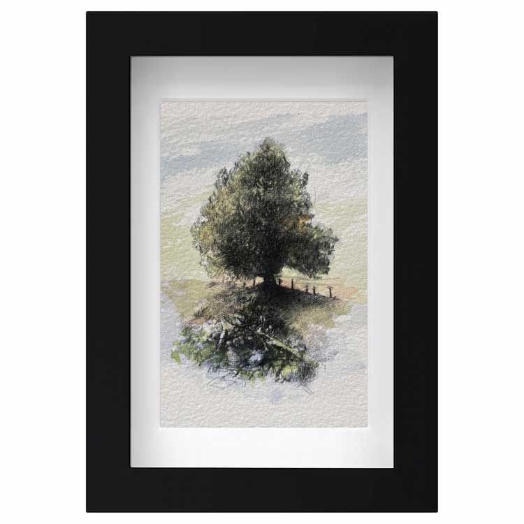 Tilberthwaite tree original sketch