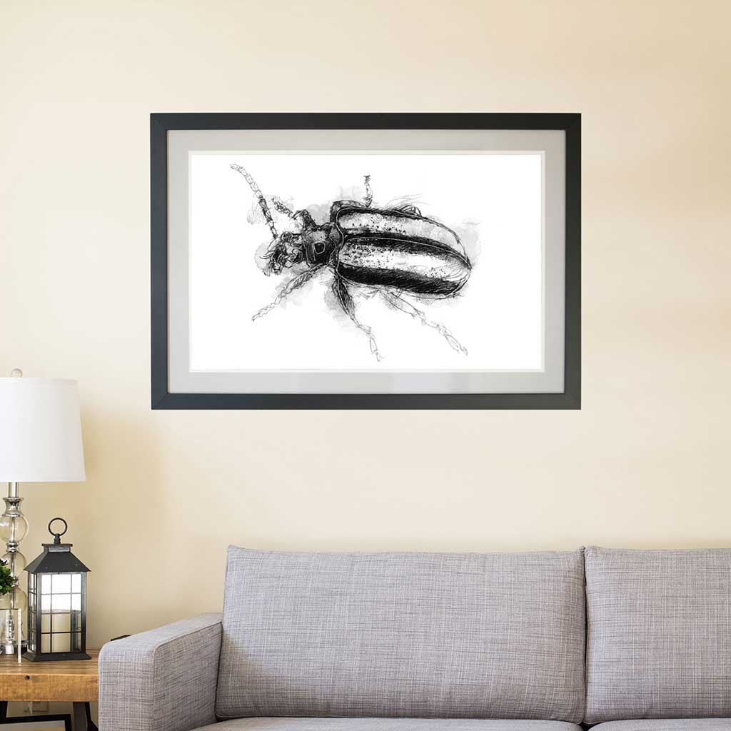 Striped beetle
