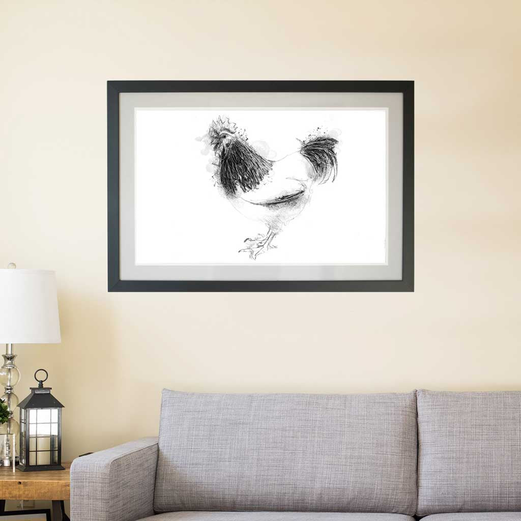 Sussex cockerel sketch