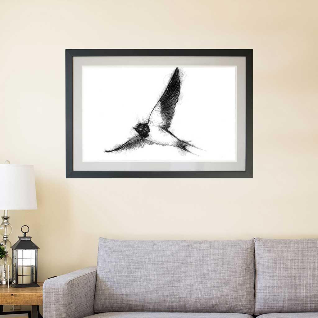 Swallow
