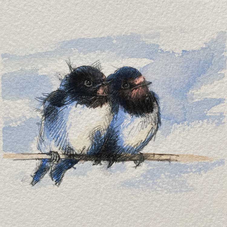 Summer swallows mini sketch