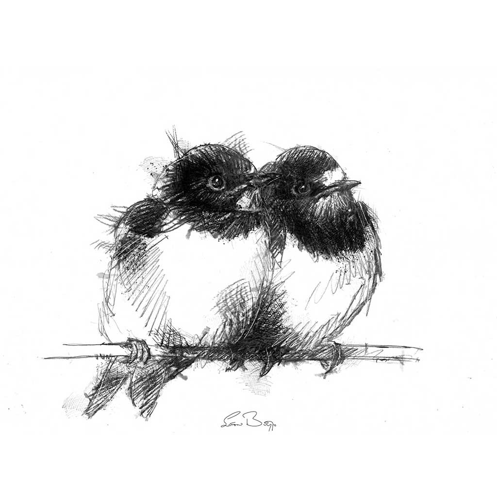 Swallows