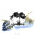 Two swallows