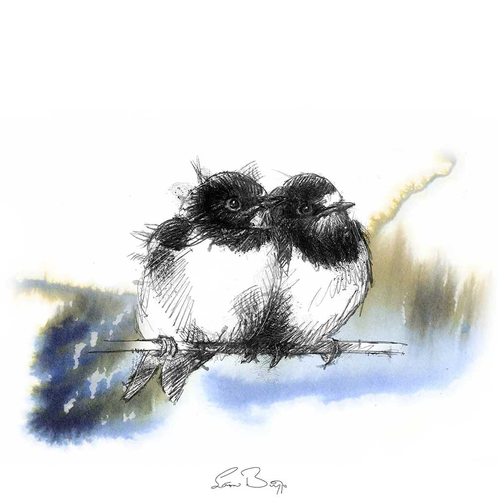 Two swallows