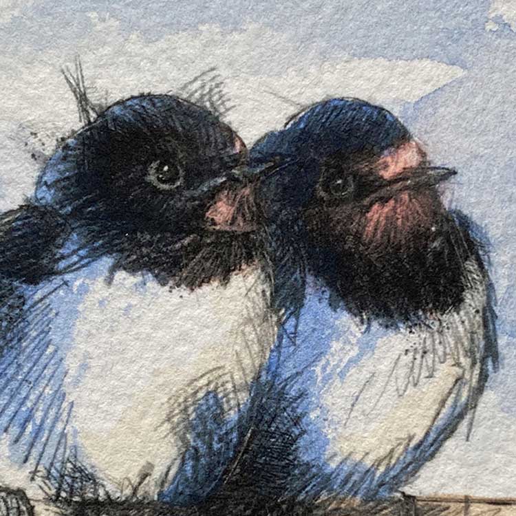 Summer swallows mini sketch