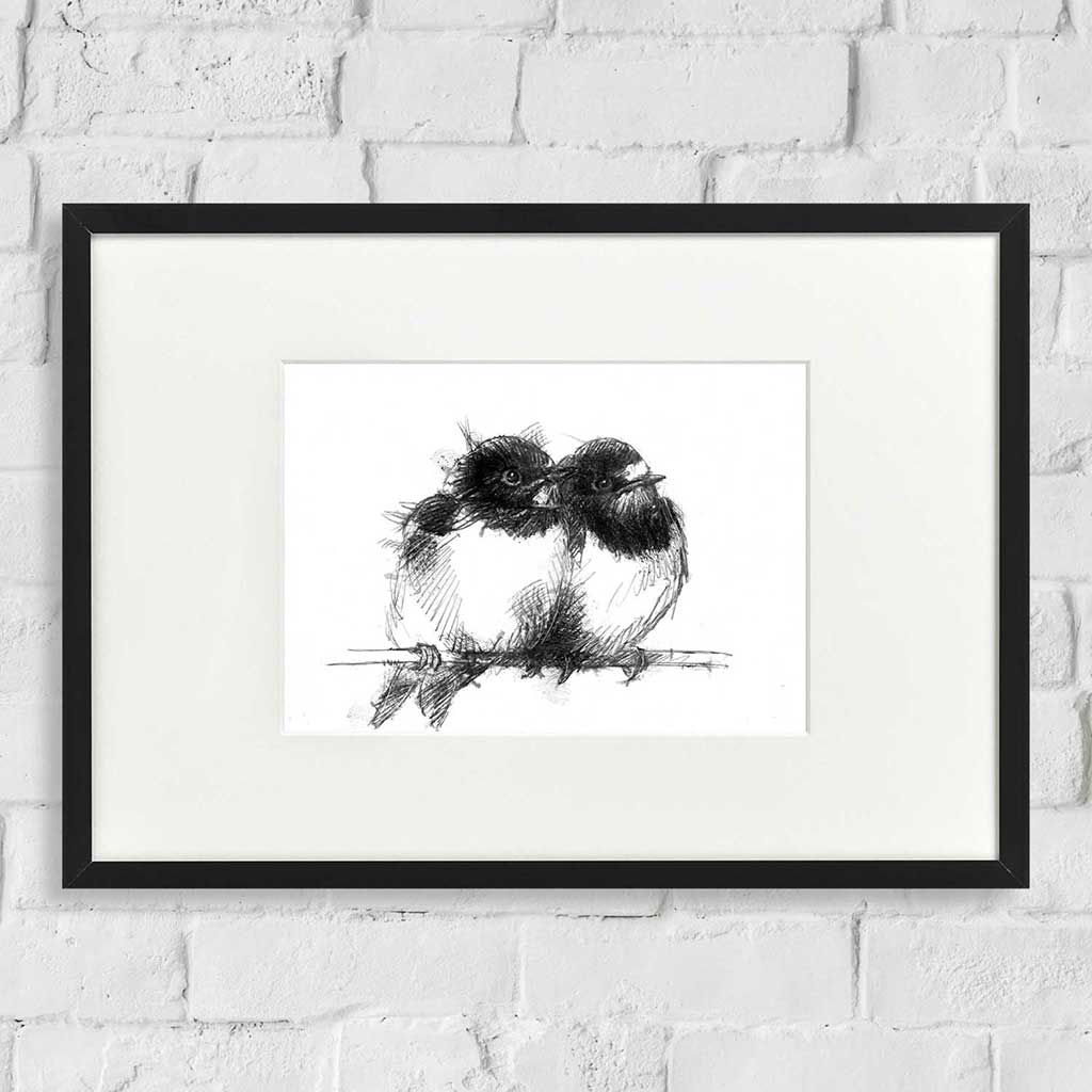 Swallows