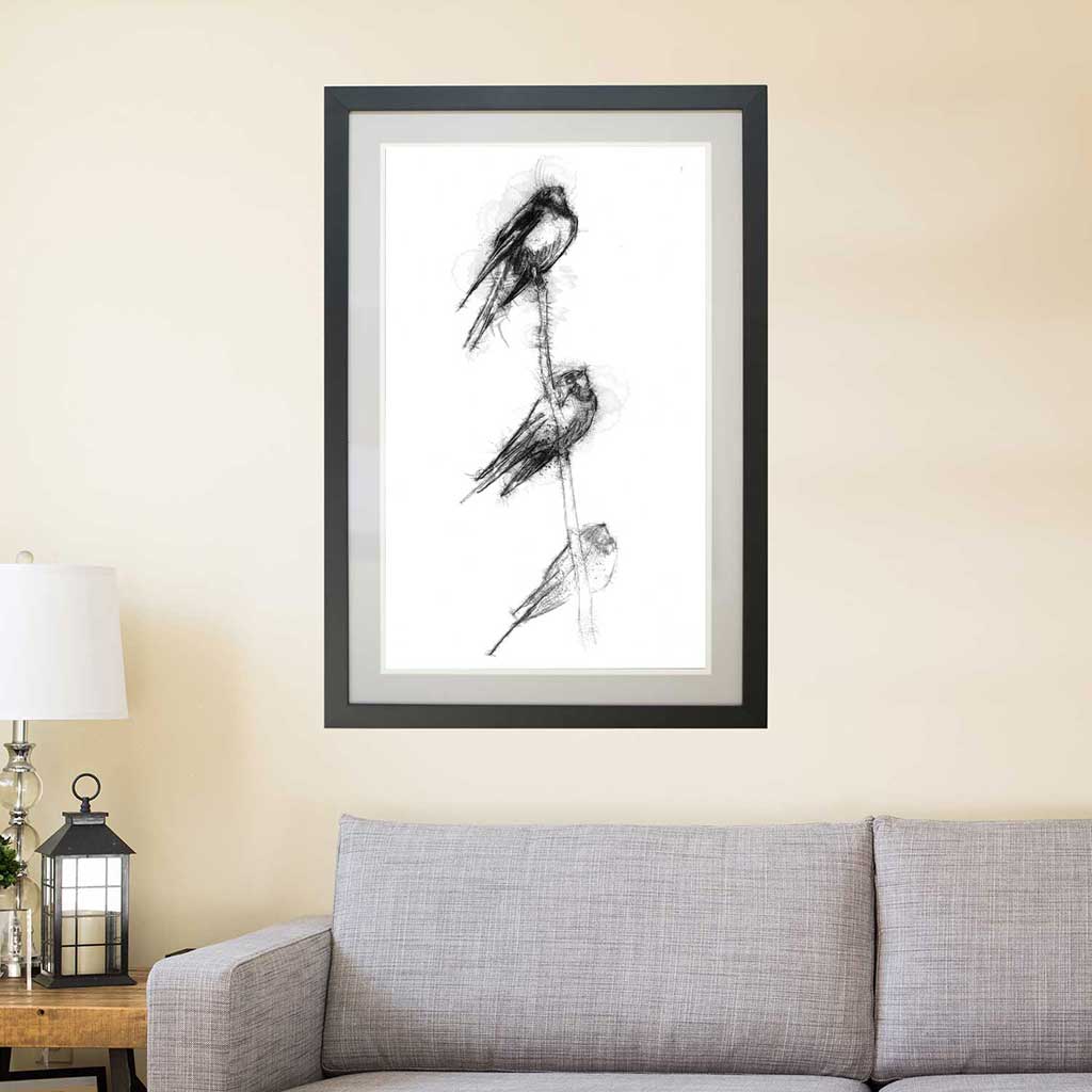 Swallows