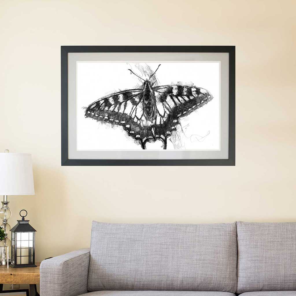Swallowtail
