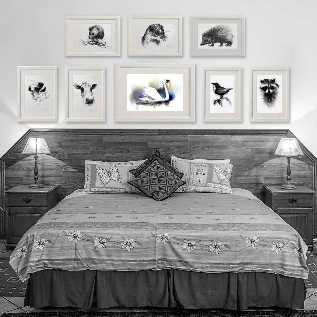 Swan colour