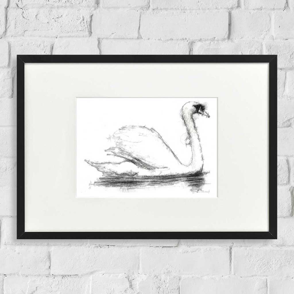 swan