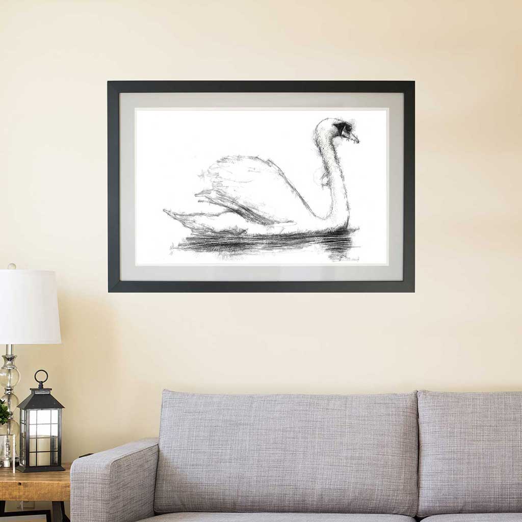 swan