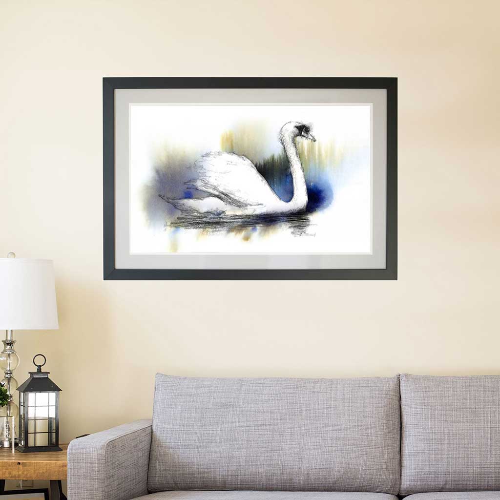 Swan colour