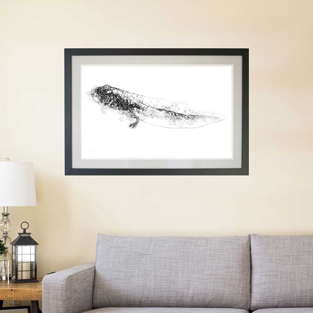 Tadpole