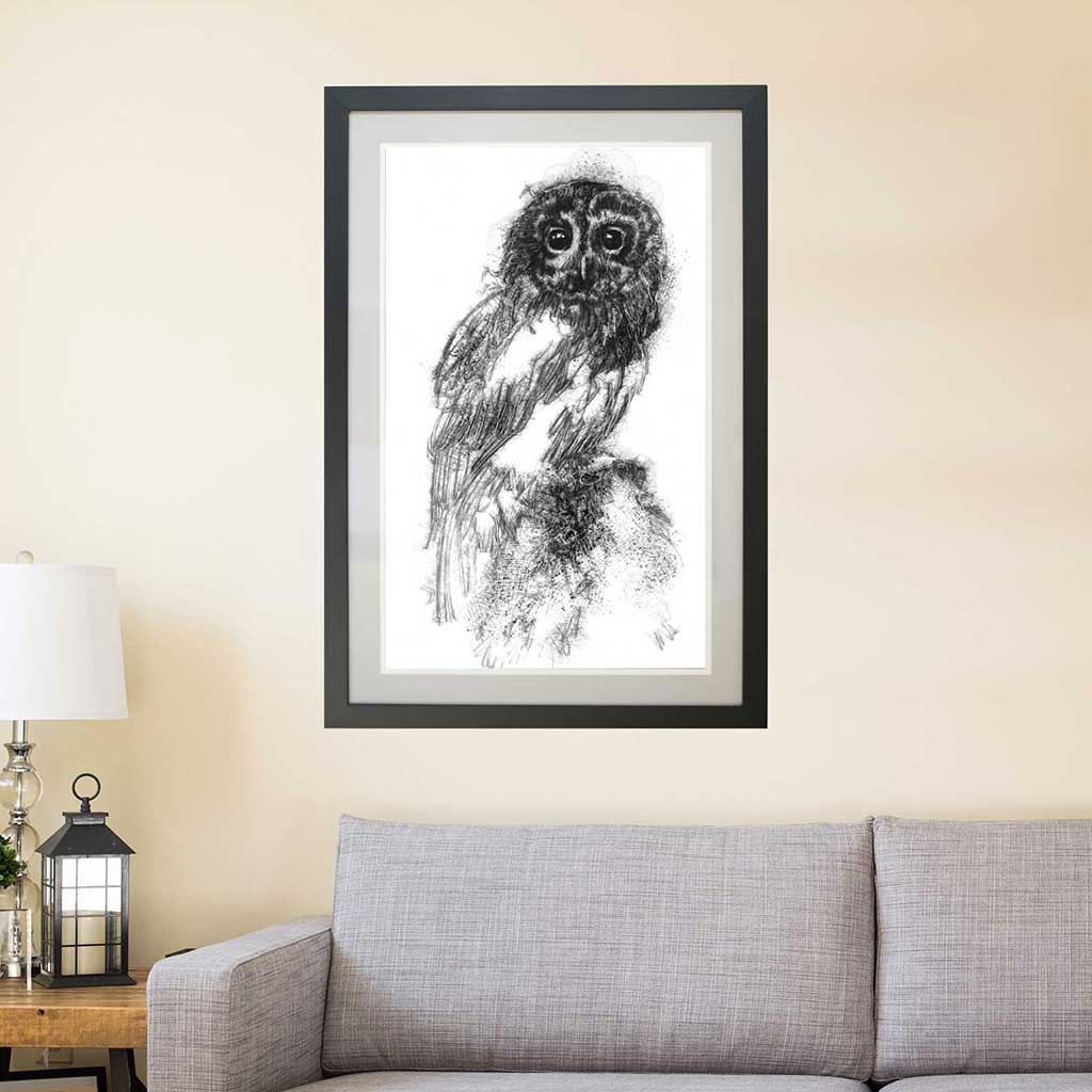 Tawny owl