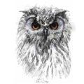 Owl eyes