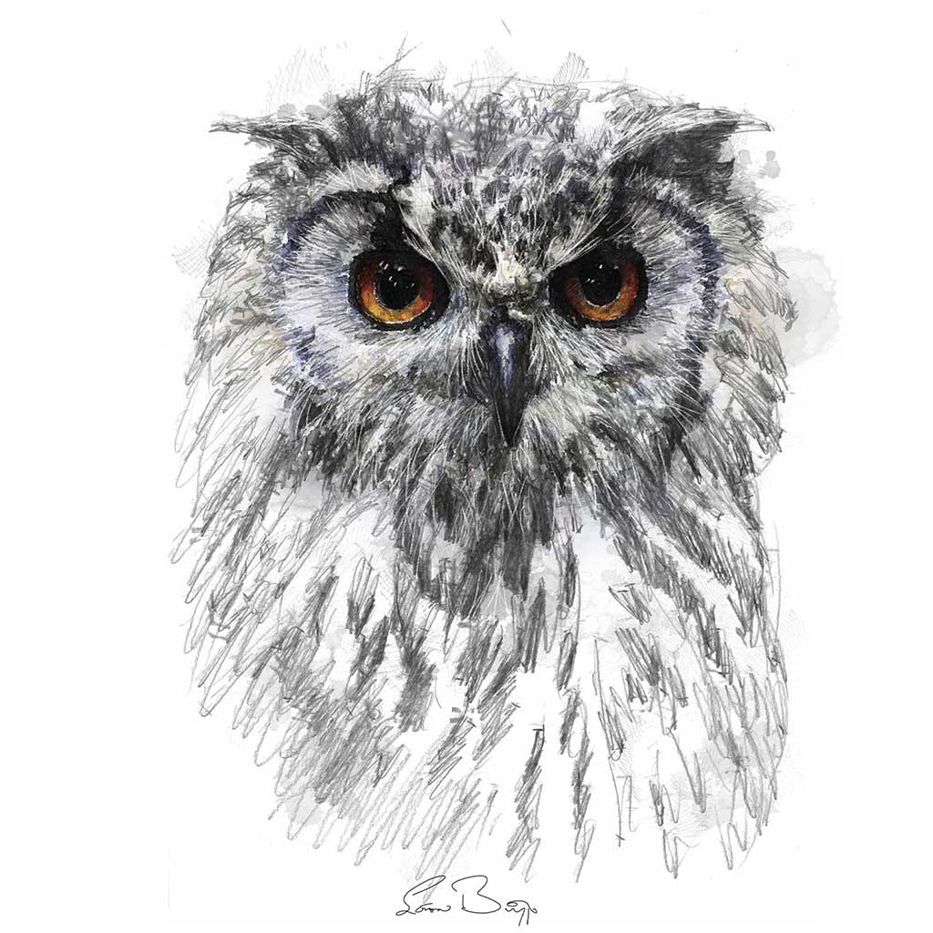 Owl eyes