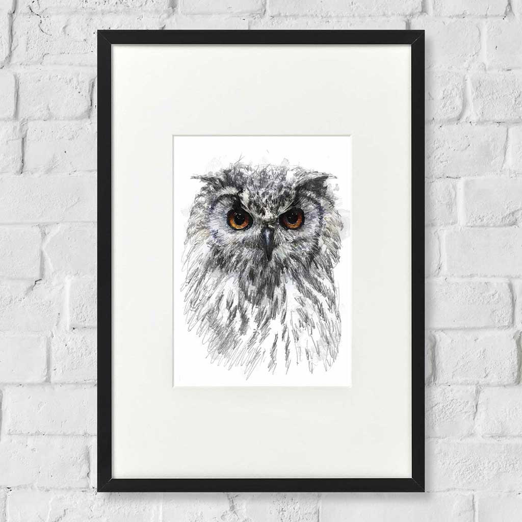 Owl eyes