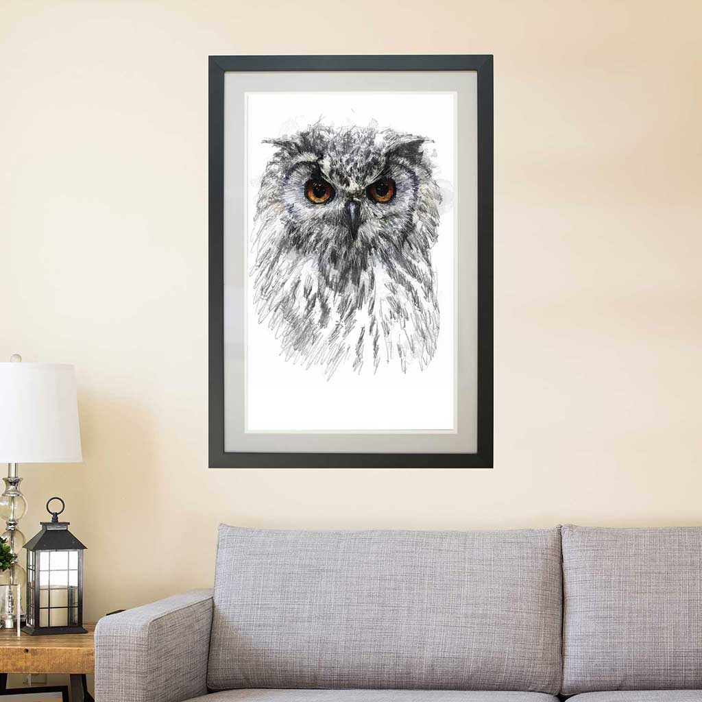 Owl eyes