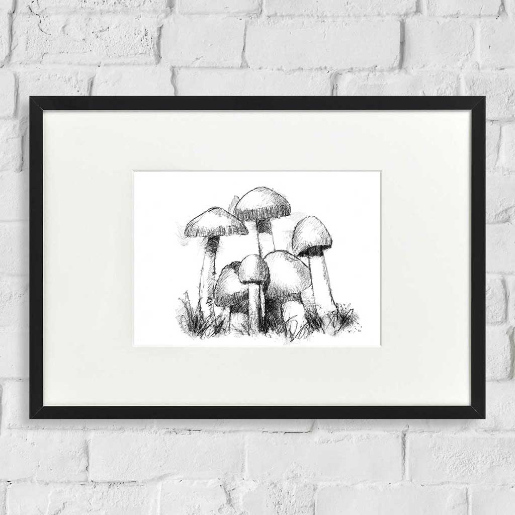 Tawny grisette fungi