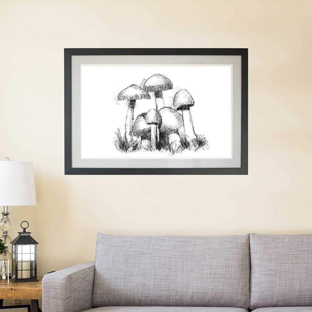 Tawny grisette fungi
