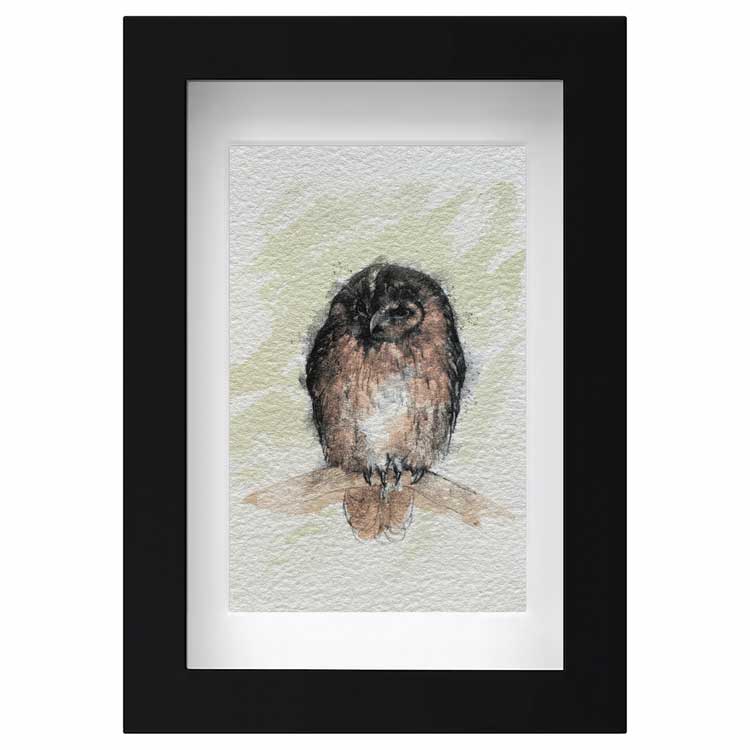Tawny owl mini sketch