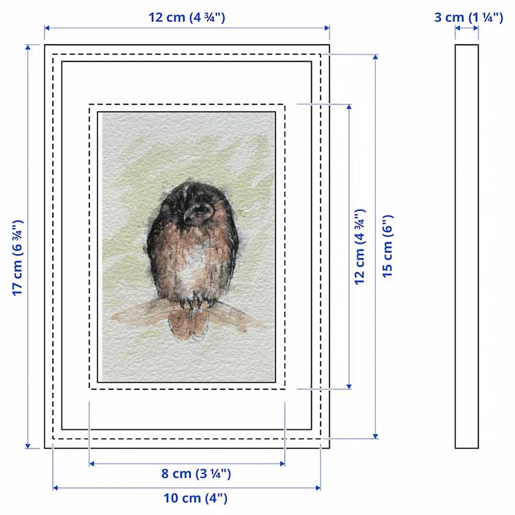 Tawny owl mini sketch