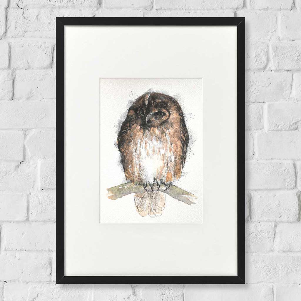 Tawny owl original sketch