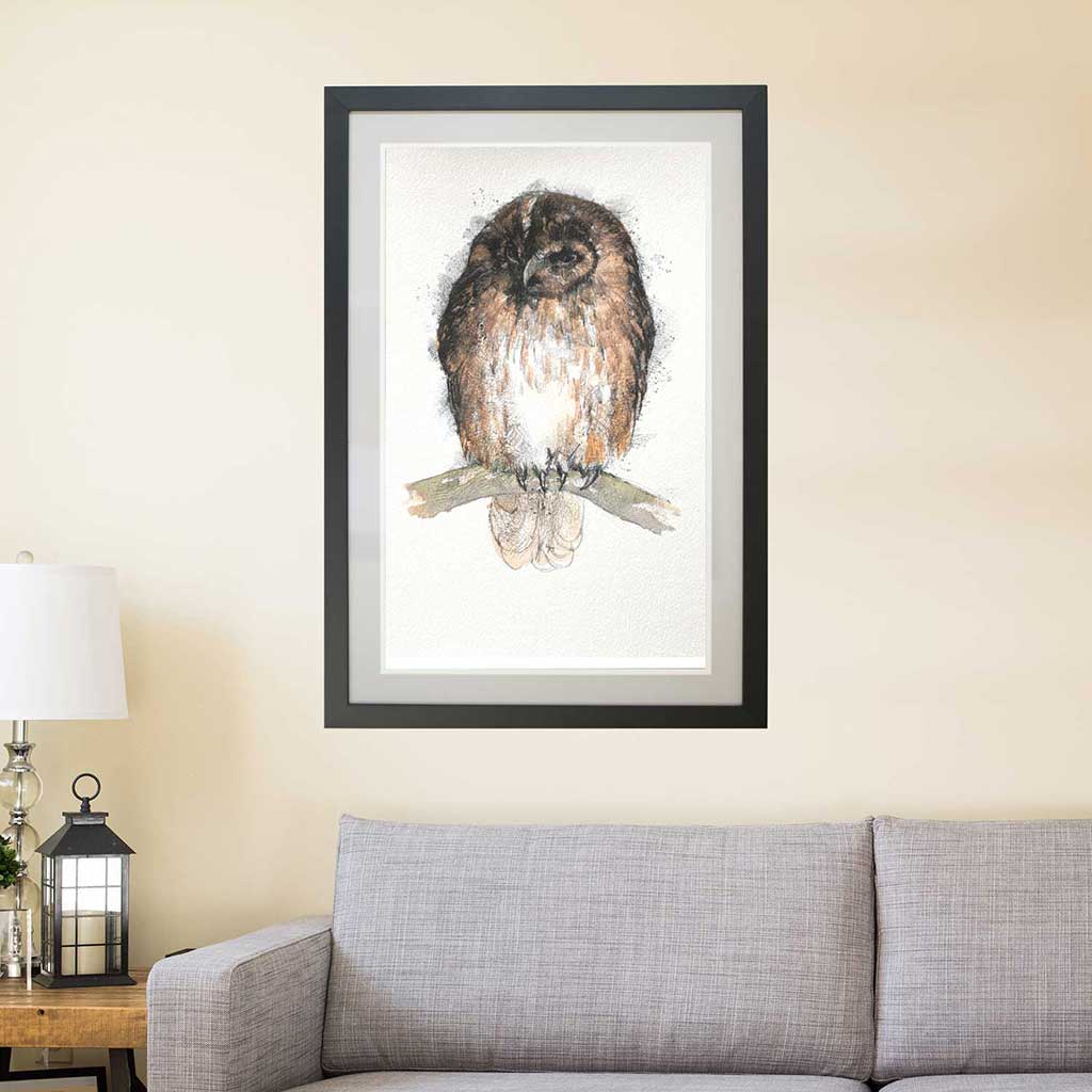 Tawny owl original sketch