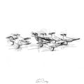 Tern flock