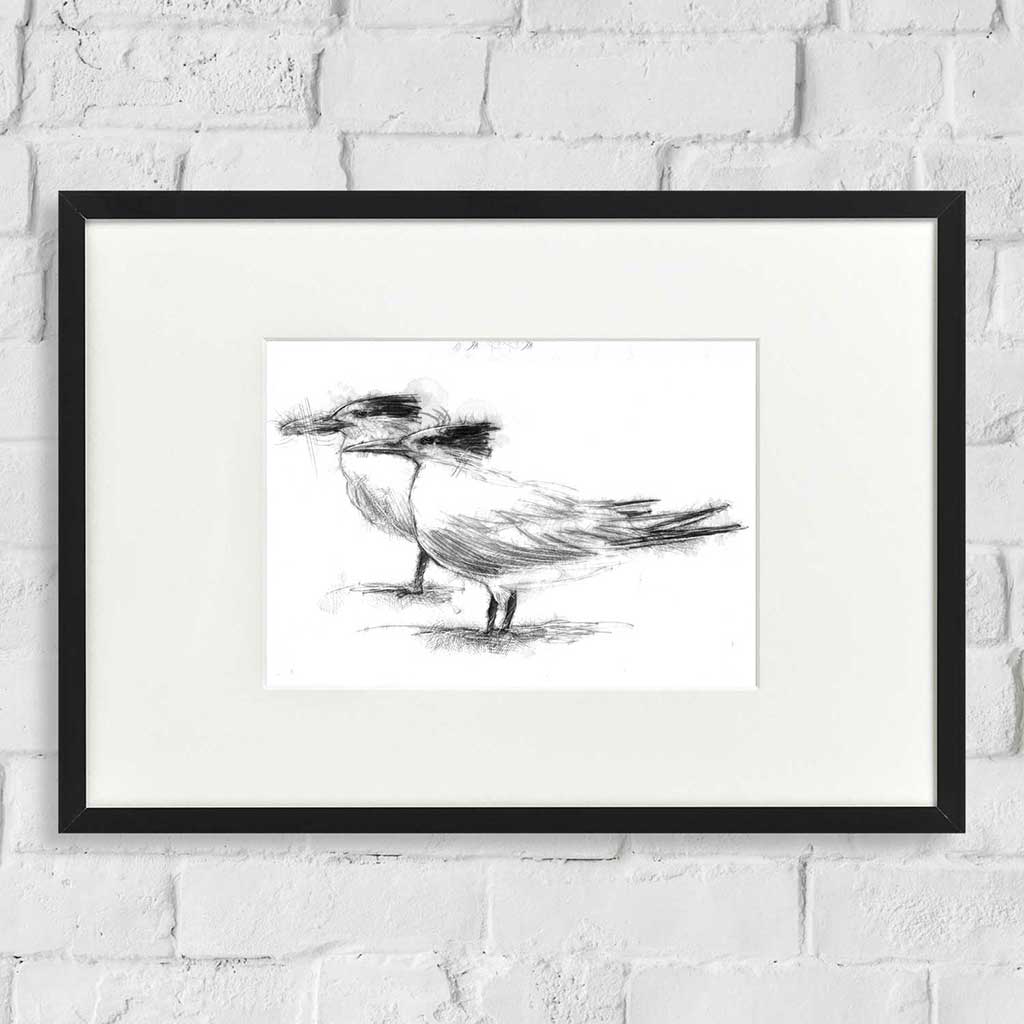 Terns