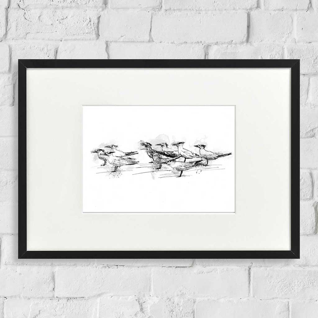 Tern flock