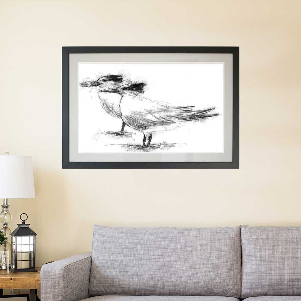 Terns