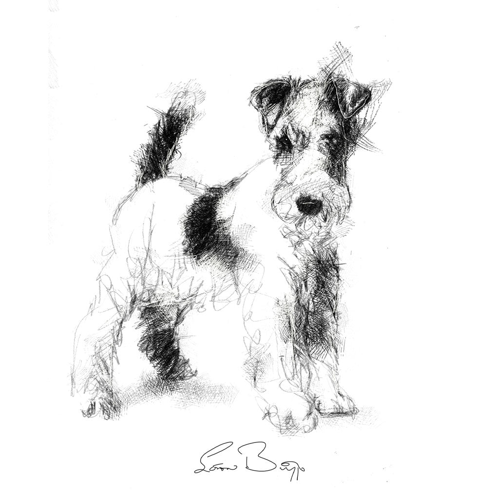 Fox terrier