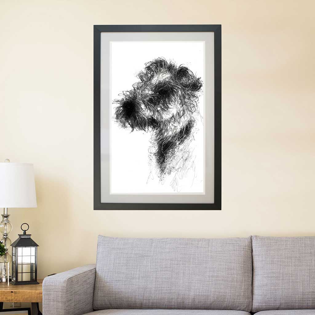 Wired hair terrier