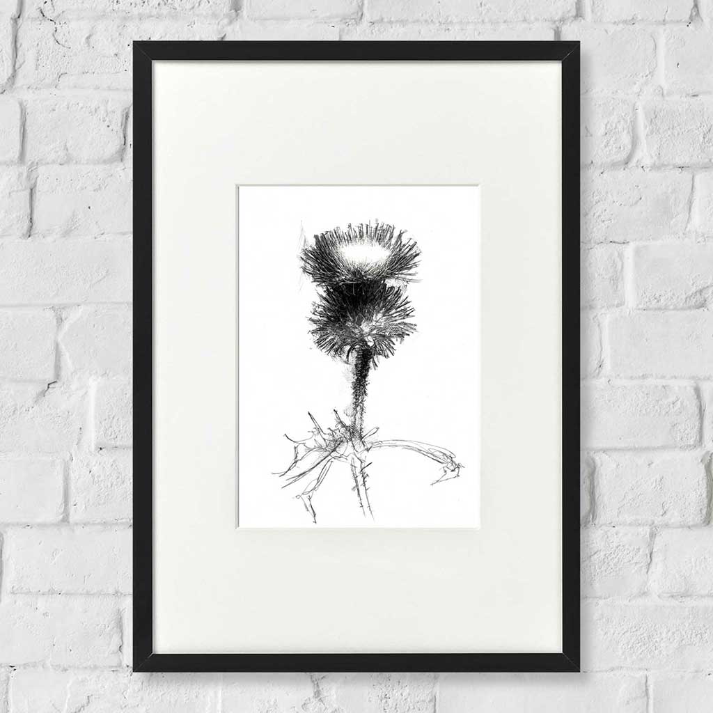 Thistle