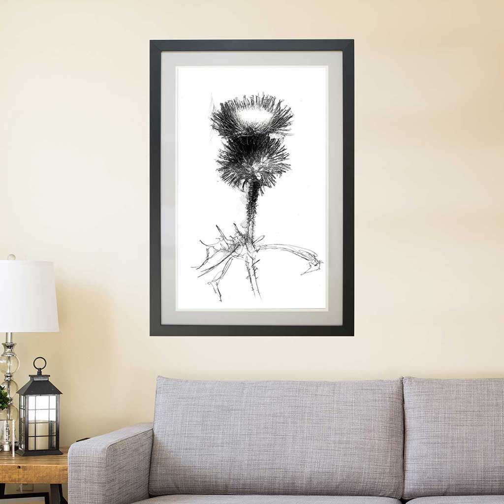Thistle