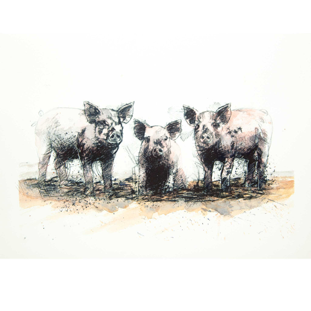 A watercolor and ink-style artwork showing three pigs standing on a patch of ground, rendered in black, gray, and warm beige washes on an off-white background.