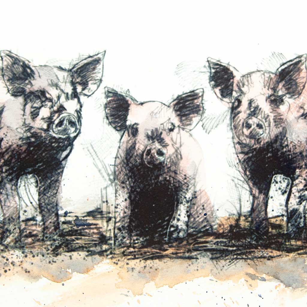 Three little pigs in mud - Colour Sketch