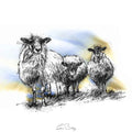 Three sheep