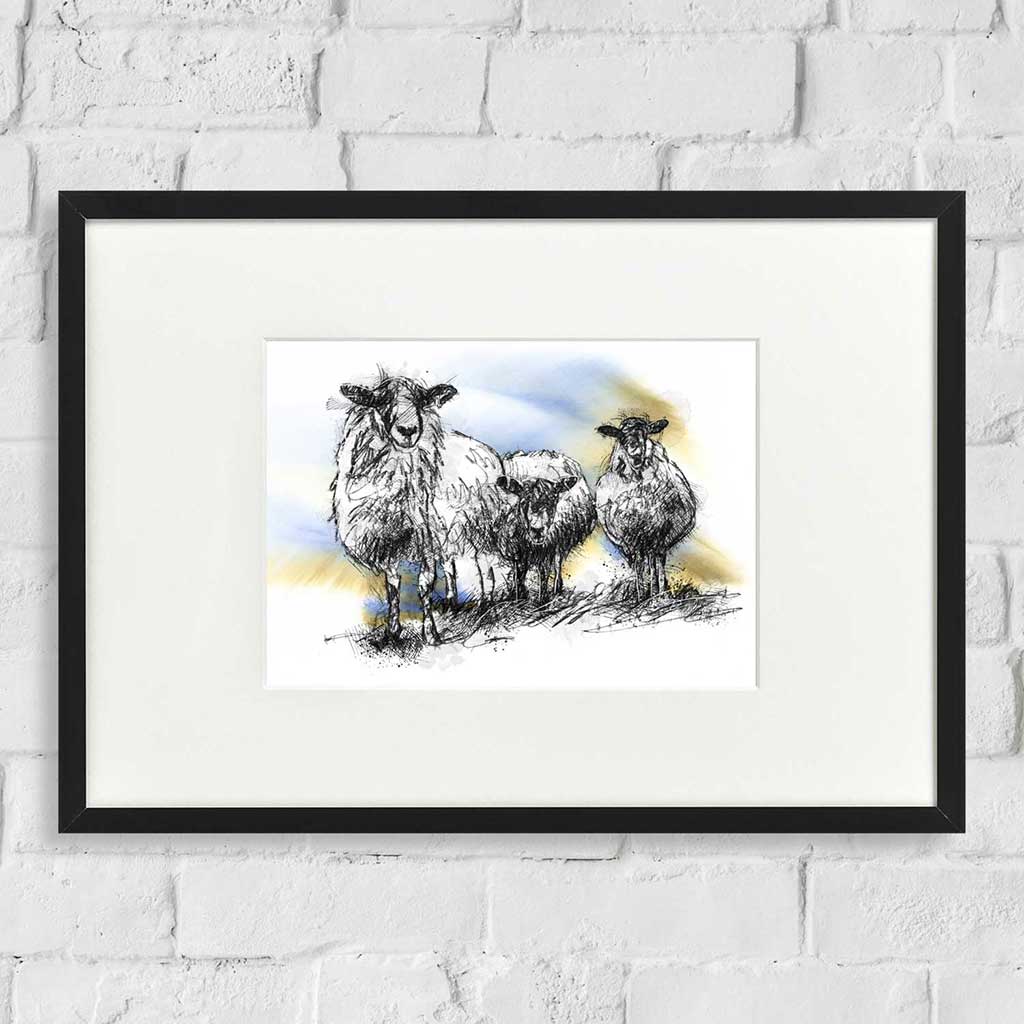 Three sheep