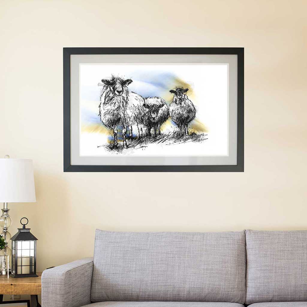 Three sheep