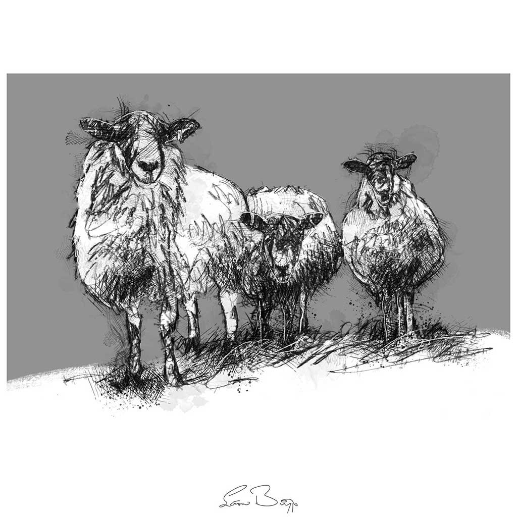 Three sheep snow