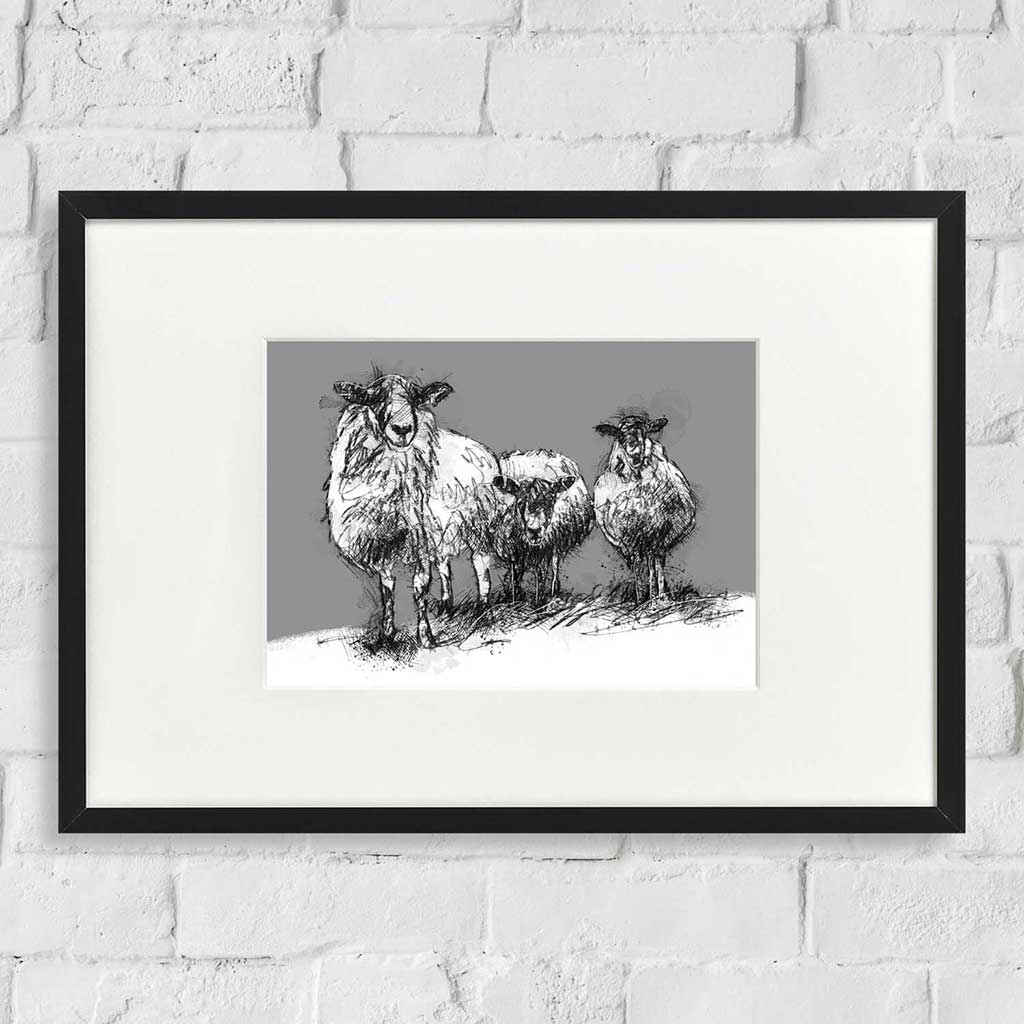 Three sheep snow